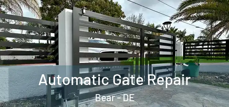  Automatic Gate Repair Bear - DE
