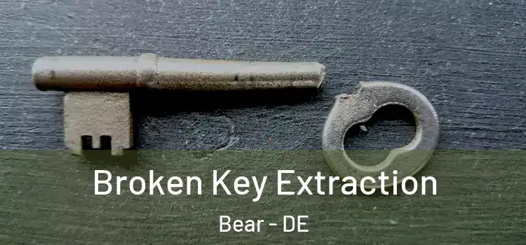  Broken Key Extraction Bear - DE