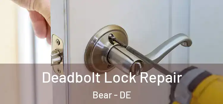  Deadbolt Lock Repair Bear - DE
