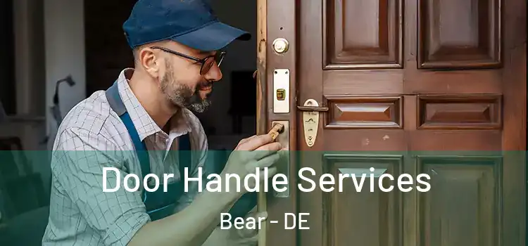  Door Handle Services Bear - DE