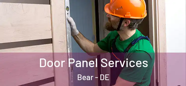  Door Panel Services Bear - DE