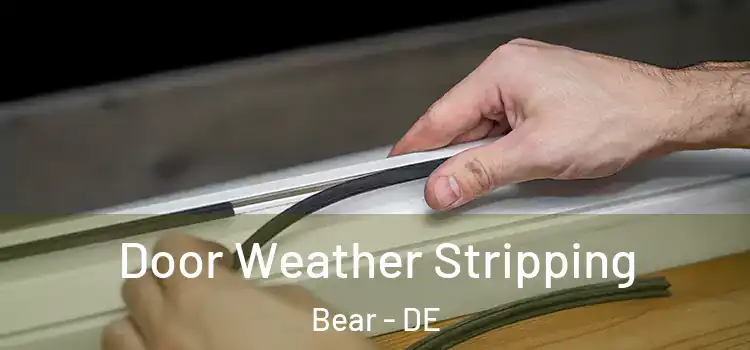  Door Weather Stripping Bear - DE