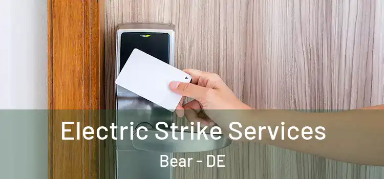  Electric Strike Services Bear - DE