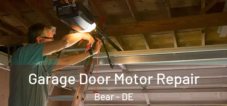  Garage Door Motor Repair Bear - DE