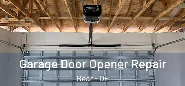  Garage Door Opener Repair Bear - DE