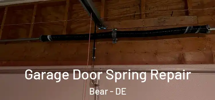  Garage Door Spring Repair Bear - DE