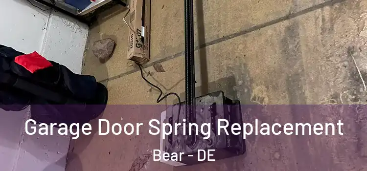  Garage Door Spring Replacement Bear - DE