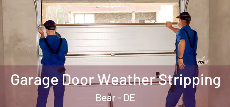  Garage Door Weather Stripping Bear - DE