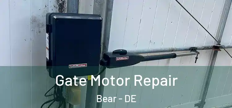  Gate Motor Repair Bear - DE