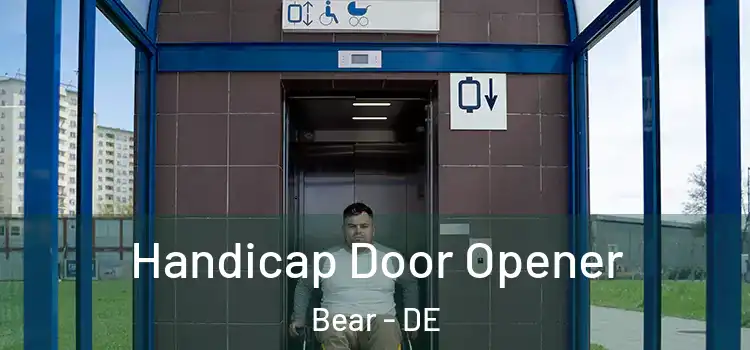  Handicap Door Opener Bear - DE