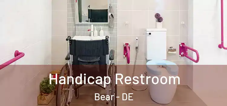  Handicap Restroom Bear - DE