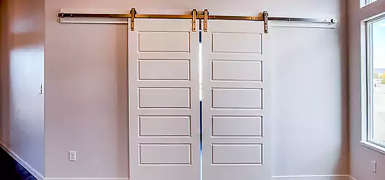 Glass Barn Door with Installation Hardware Kit Bear