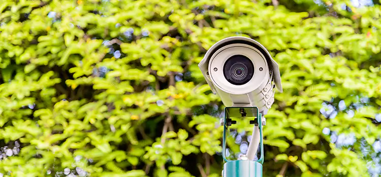 Advanced Surveillance Solutions for Every Need in Bear