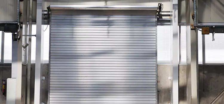 Roller Door Maintenance Bear