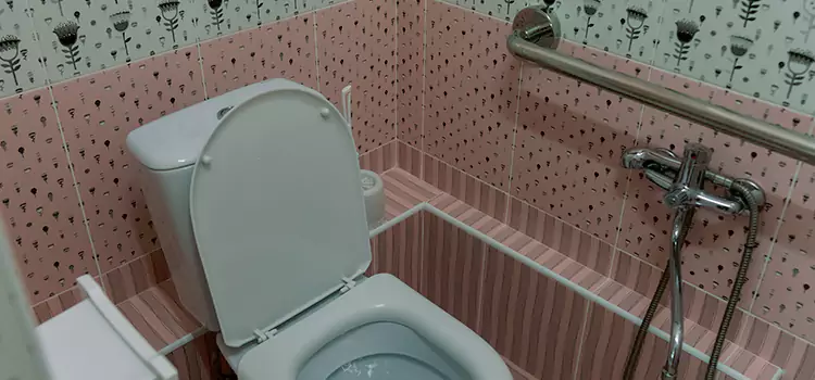 Meeting Diverse Needs With Accessible Restroom Solutions in Bear, DE