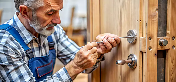 Mortise Replacement Lock Bear