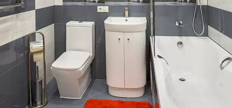 Hansgrohe Shaving Mirror Bear