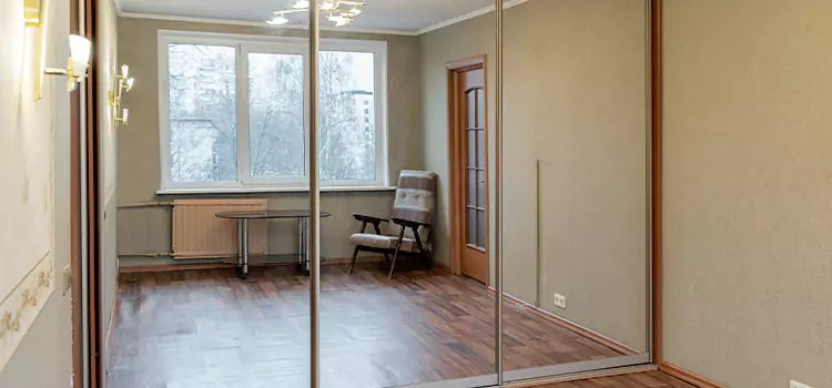 Mirror Closet Door Roller Replacement Bear