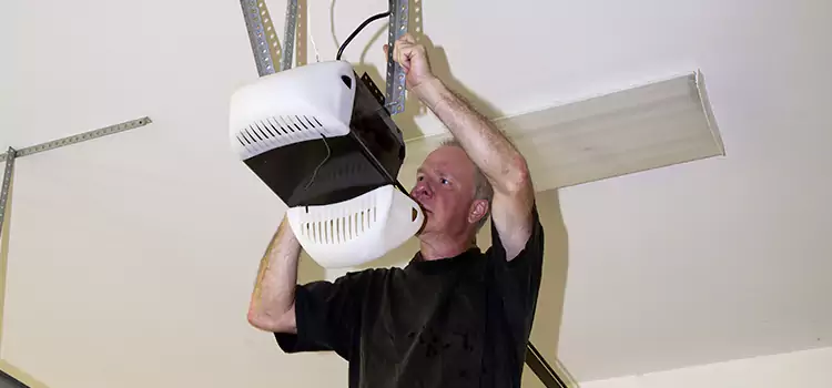 Garage Door Opener Service Bear
