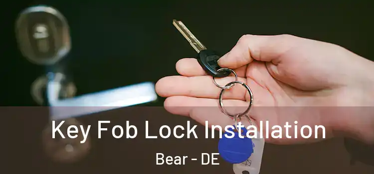  Key Fob Lock Installation Bear - DE