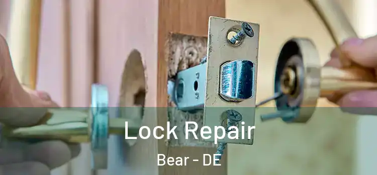 Lock Repair Bear - DE