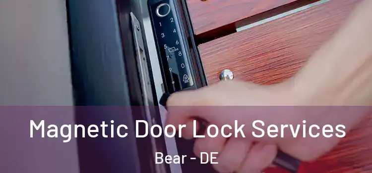  Magnetic Door Lock Services Bear - DE