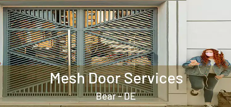 Mesh Door Services Bear - DE