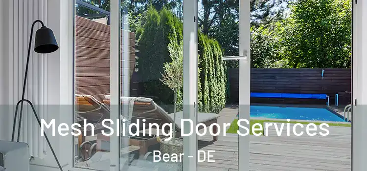  Mesh Sliding Door Services Bear - DE