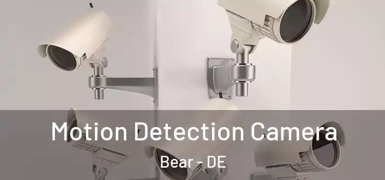  Motion Detection Camera Bear - DE