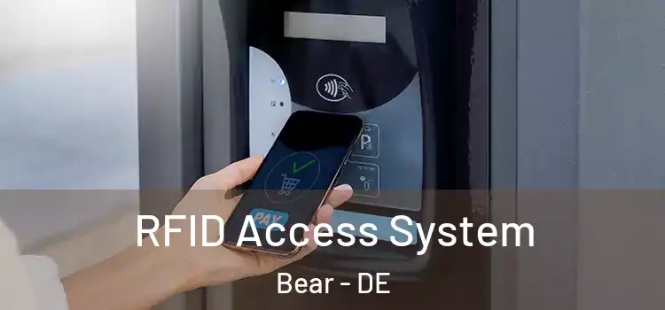  RFID Access System Bear - DE