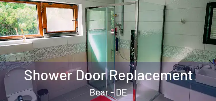  Shower Door Replacement Bear - DE