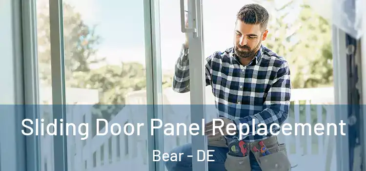  Sliding Door Panel Replacement Bear - DE