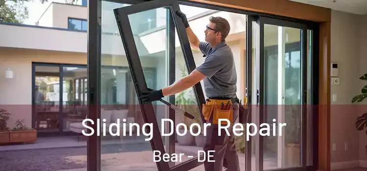  Sliding Door Repair Bear - DE