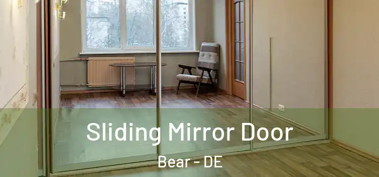  Sliding Mirror Door Bear - DE