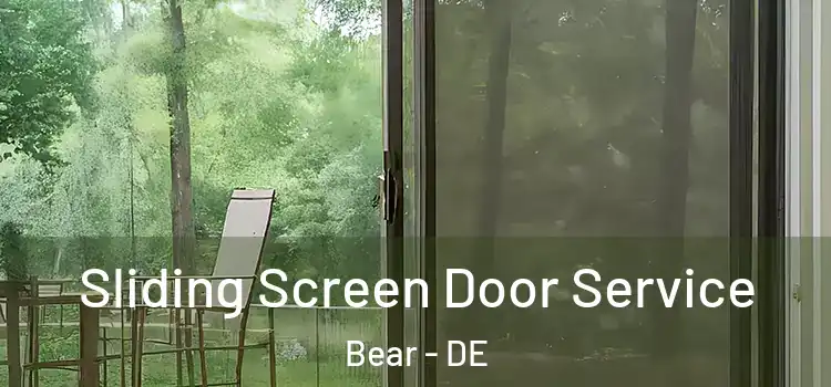 Sliding Screen Door Service Bear - DE
