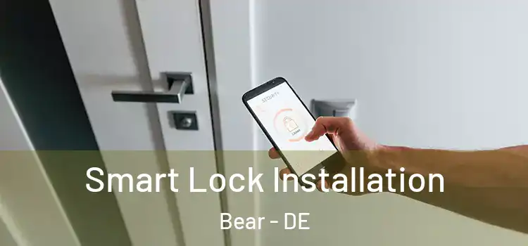 Smart Lock Installation Bear - DE